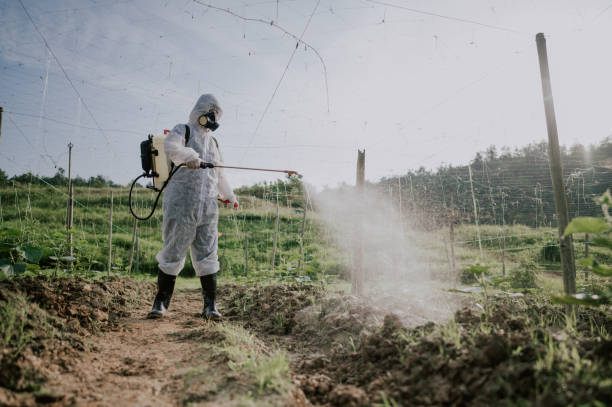 Best Affordable Pest Control Services  in Oronoco, MN