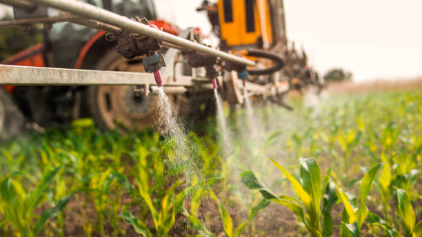 Best Mosquito Control Services  in Oronoco, MN